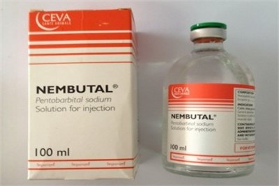 Nembutal Phenobarbital Sodium Solution 100 mL